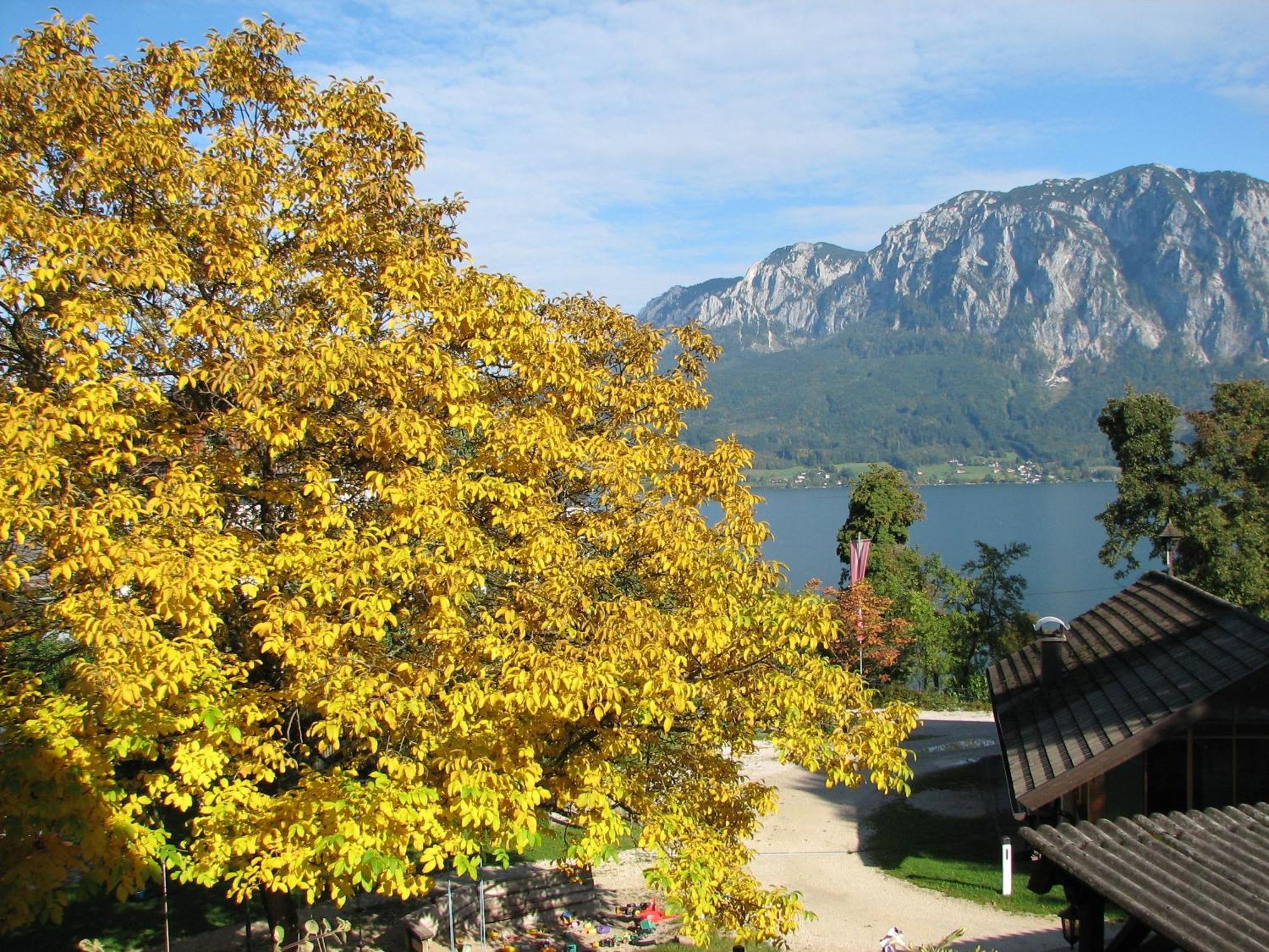 Pension Christina Unterach am Attersee Phòng bức ảnh